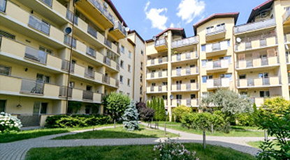 zdjęcie-15