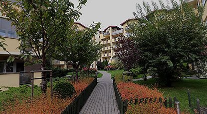zdjęcie-16